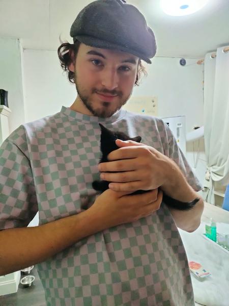 Met een kitten